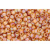 cc162cf - Toho beads 11/0 transparent rainbow frosted dark topaz (10g)