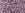 Beads wholesaler cc151 - Toho beads 11/0 ceylon grape mist (10g)