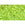 Beads wholesaler cc164 - Toho Treasure beads 11/0 transparent rainbow lime green (5g)