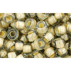 cc369 - toho beads 6/0 black diamond/orange cream lined (10g)