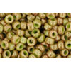 Buy cc1209 - Toho beads 8/0 marbled opaque avocado/pink (10g)