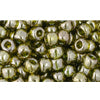 Buy cc457 - Toho beads 6/0 gold lustered green tea (10g)