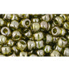 cc457 - Toho beads 6/0 gold lustered green tea (10g)