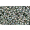 cc176bf - Toho beads 11/0 trans-rainbow frosted grey (10g)