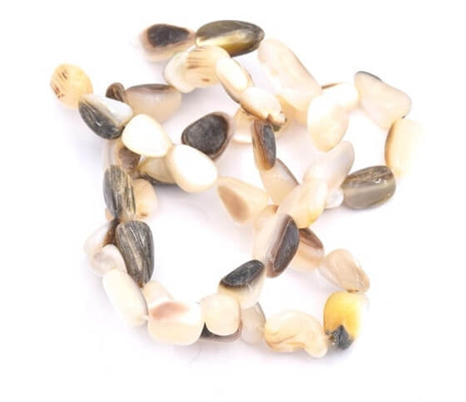 Buy Nuggets beads Natural shell Beads 8-10mm hole 0.8mm (1 strand)