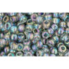 Buy cc176 - Toho beads 8/0 transparent rainbow black diamond (10g)