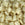 Beads wholesaler Cc2021 - Miyuki tila beads mat cream 5mm (25 beads)