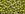 Beads Retail sales cc2630F - Toho beads 8/0 semi glazed rainbow Lemongrass (10g)