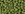 Beads wholesaler cc2602F - Toho beads 8/0 semi glazed Honeydew (10g)