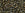 Beads wholesaler cc83 - Toho Treasure beads 11/0 metallic iris brown (5g)
