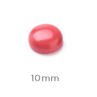 Buy Round cabochon 10mm Bamboo coral (1)