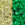 Beads wholesaler cc2721 - Toho beads 11/0 Glow in the dark yellow/bright green (10g)