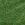 Beads wholesaler DB046 - 11/0 Delica beads Silver lined Light Green- 1,6mm - Hole : 0,8mm (5gr)