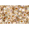 Buy cc994 - Toho beads 6/0 gold lined rainbow crystal (10g)
