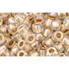 cc994 - Toho beads 6/0 gold lined rainbow crystal (10g)