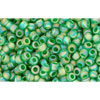 cc167bf - Toho beads 11/0 transparent rainbow frosted green grass (10g)