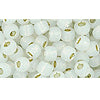 cc2100 - Toho beads 6/0 silver-lined milky white (10g)