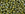 Beads Retail sales cc2631F - Toho beads 8/0 semi glazed rainbow Olive (10g)
