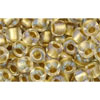 Buy cc262 - Toho beads 6/0 inside colour crystal/gold lined (10g)