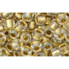 cc262 - Toho beads 6/0 inside colour crystal/gold lined (10g)