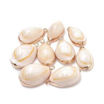 COWRIE shell with golden brass setting 20-30mm (sold per 1 unit)