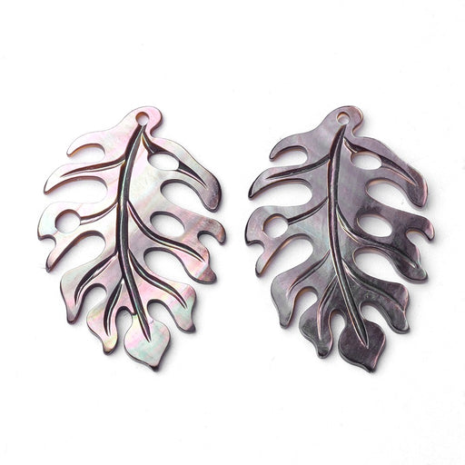 Buy Natural Black Lip Shell Philodendron Monstera Pendants, Leaf-35x24mm (1)