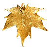 Buy Real sugar maple leaf pendant gold 24K 60mm (1)