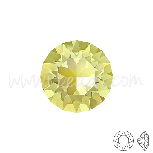 Buy Swarovski 1088 xirius chaton jonquil 6mm-SS29 (6)