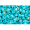 Buy cc2117 - Toho beads 8/0 silver lined milky aqua (10g)