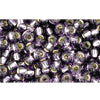 Buy cc39 - Toho beads 8/0 silver lined tanzanite (10g)