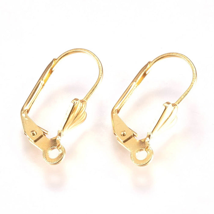 Stainless Steel Leverback Earring Findings, Golden19x5.5x11mm-2 pairs (4)