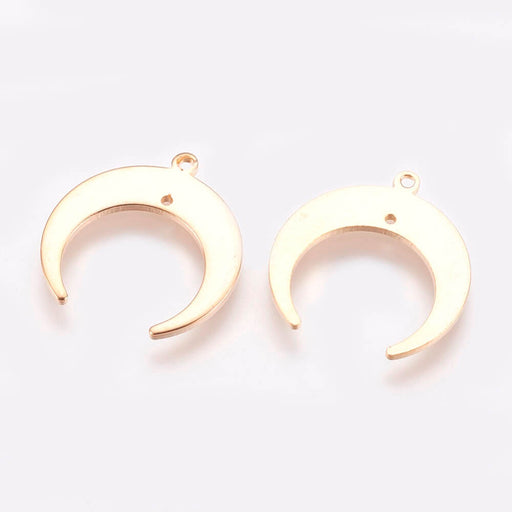 Buy Pendant, Double Horn/Crescent Moon, Brass 14k Gold Plated-19mm (1)