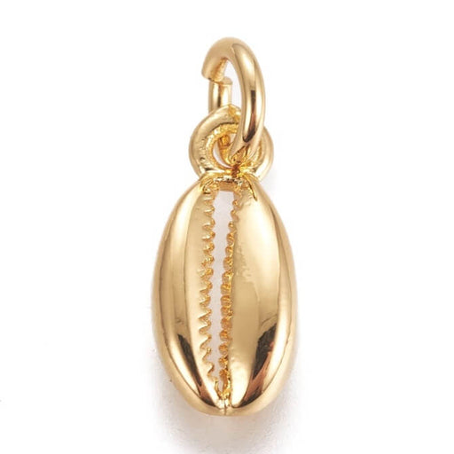 Buy Cowrie Shell, Pendant, brass plated GOLD, 11mm with ring (1)