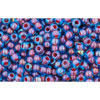 cc381 - Toho beads 11/0 aqua/oxblood lined (10g)