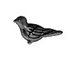 Buy Dove bead metal antique gunmetal plated 14.5x7mm (1)