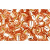 Buy cc31 - Toho beads 6/0 silver-lined rosaline (10g)