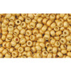 Buy ccpf557f - Toho beads 11/0 matt galvanized starlight (10g)