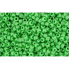 cc47 - Toho beads 15/0 opaque mint green (5g)