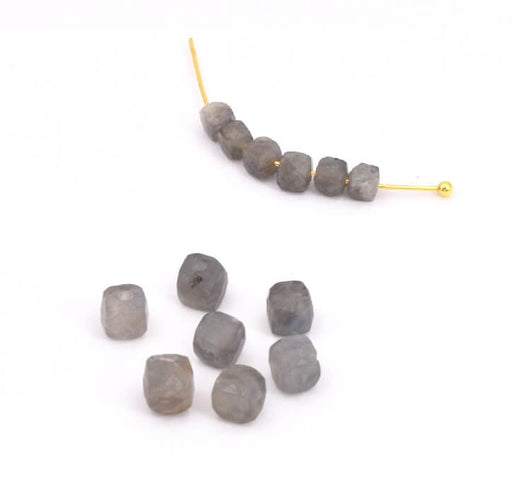 Buy Cube facetted beads Labradorite 3.5mm hole: 0.6mm (10)