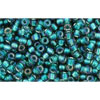 cc270 - Toho beads 11/0 crystal/prairie green lined (10g)