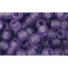 cc19f - Toho beads 6/0 transparent frosted sugar plum (10g)