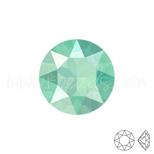 Buy Swarovski 1088 xirius chaton crystal mint green 6mm-SS29 (6)