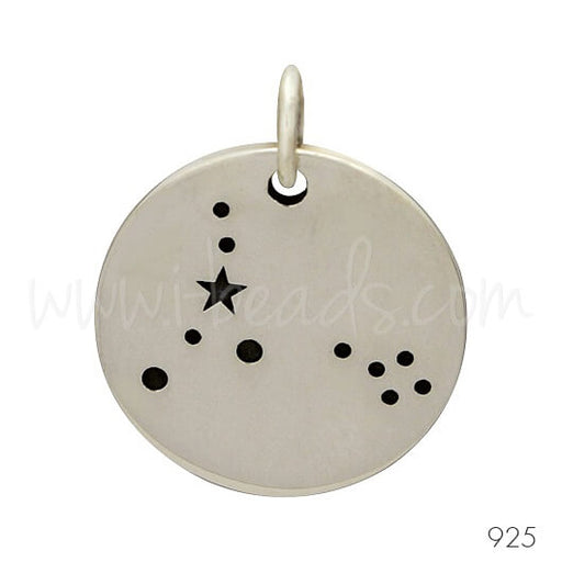 Sterling Silver zodiac constellation charm Pisces (1)