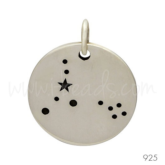 Sterling Silver zodiac constellation charm Pisces (1)